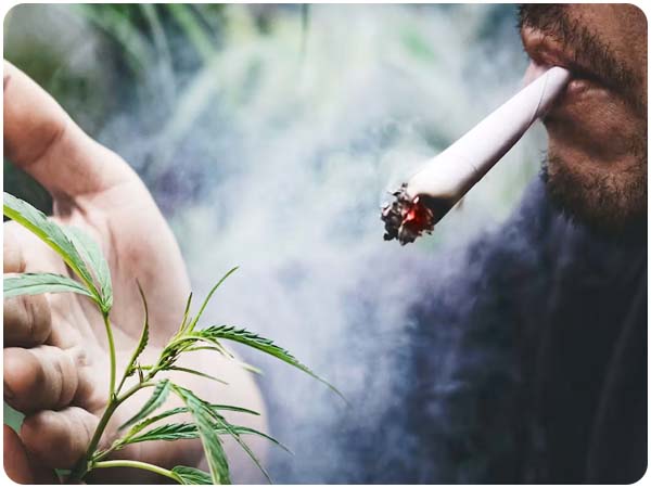 Cannabis och dess former