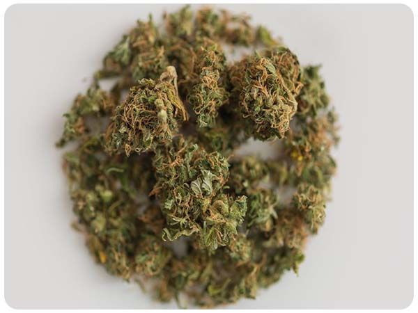 Cannabis och dess former 